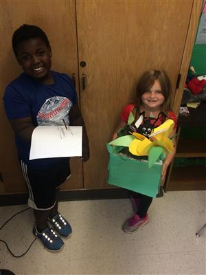Insect Project 