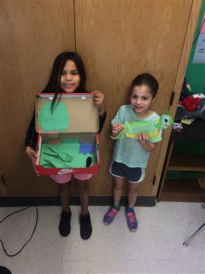 Insect Project 