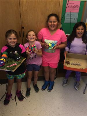 Insect Project 