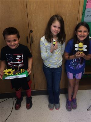 Insect project 