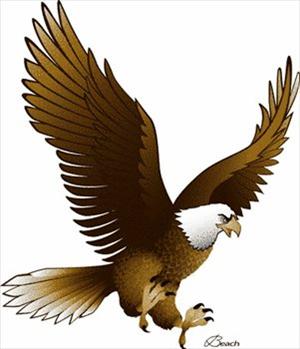 eagle image eagle image